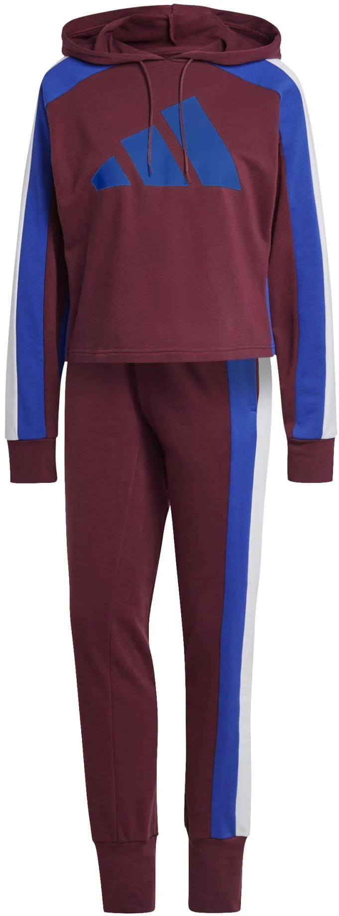 W TS BIG LOGODa. Jogger mit Kapuze