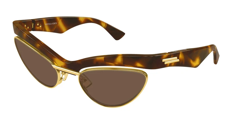 Bottega Veneta BV1480S 004 59