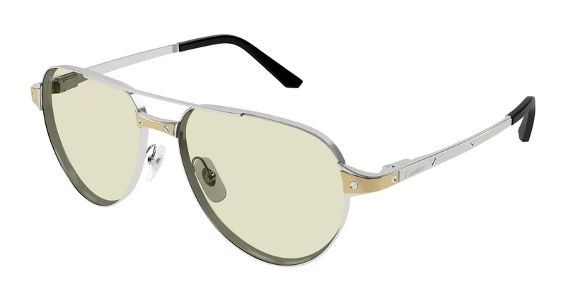 Cartier CT0425S 005 59