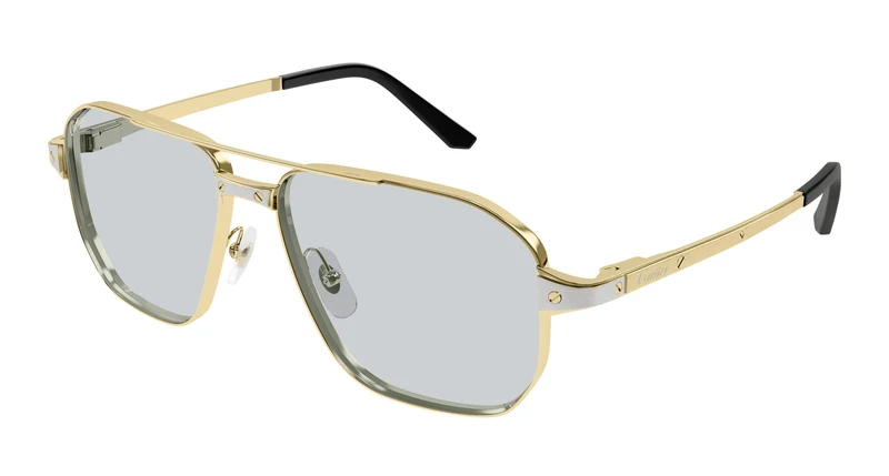 Cartier CT0424S 006 59