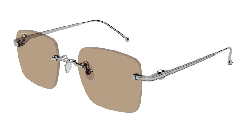 Cartier CT0403S 005 52