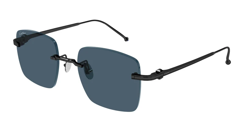 Cartier CT0403S 004 52