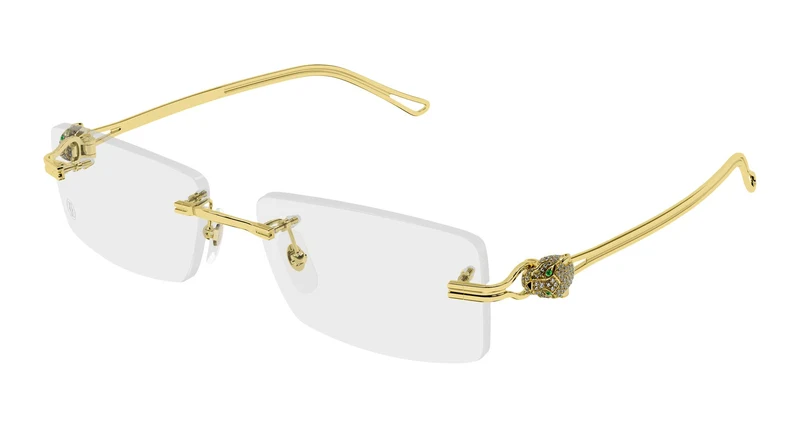 Cartier CT0647O 002 57