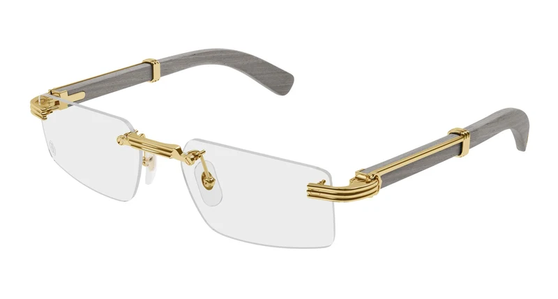 Cartier CT0485O 005 55
