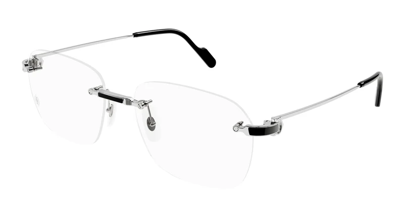Cartier CT0343O 002 58