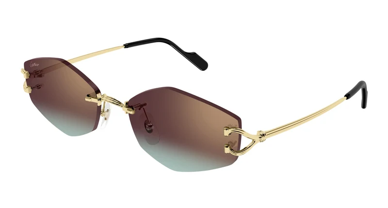 Cartier CT0620S 005 56
