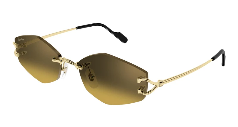 Cartier CT0620S 003 56
