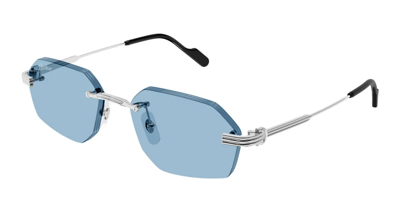 Cartier CT0616S 005 54