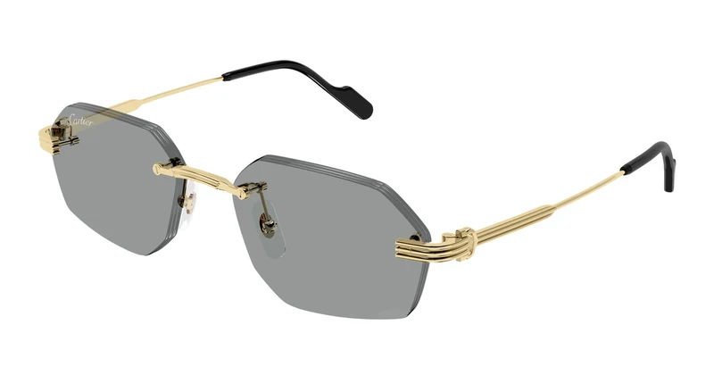 Cartier CT0616S 004 54