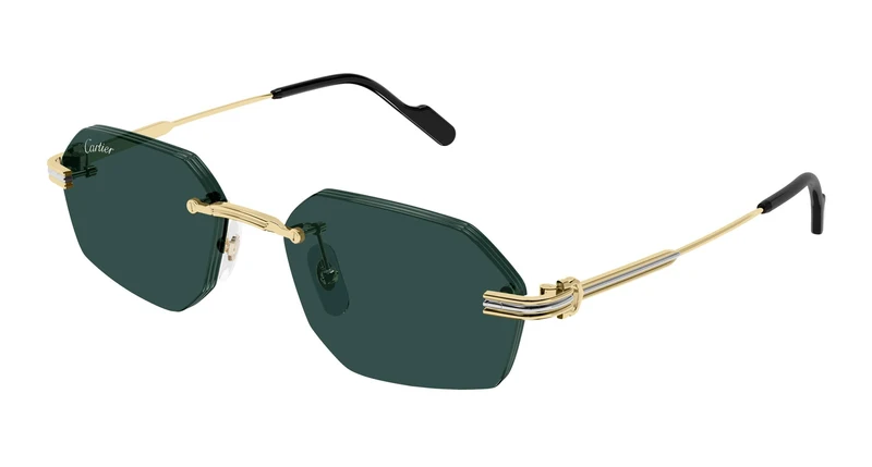 Cartier CT0616S 003 54