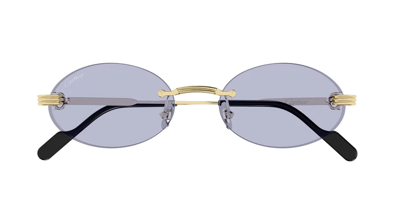 Cartier CT0615S 009 55