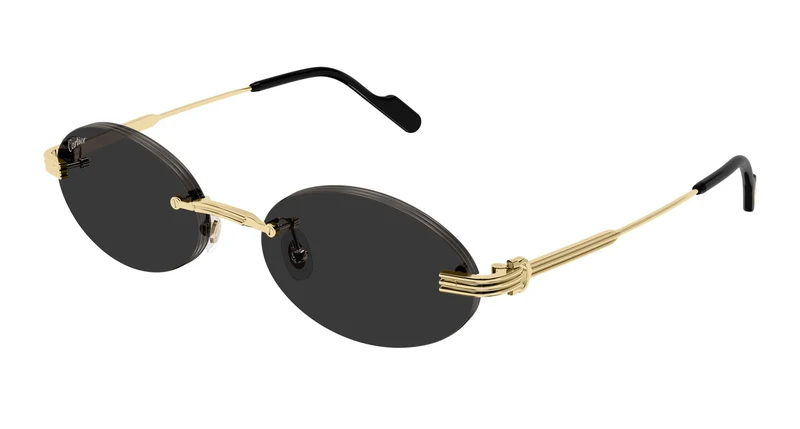 Cartier CT0615S 006 55