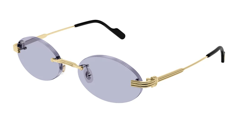 Cartier CT0615S 004 53