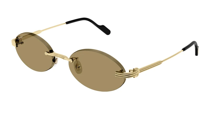 Cartier CT0615S 002 53