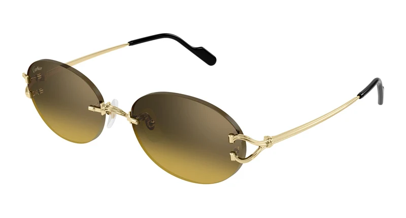 Cartier CT0551S 009 55