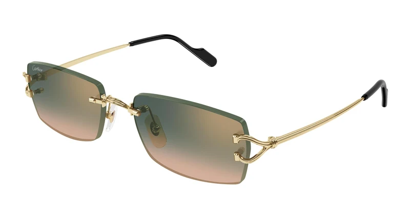 Cartier CT0550S 009 56