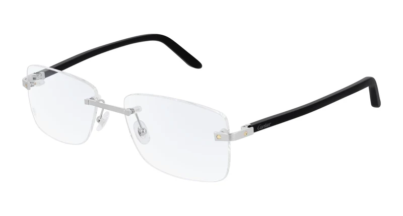 Cartier CT0216OA 004 57
