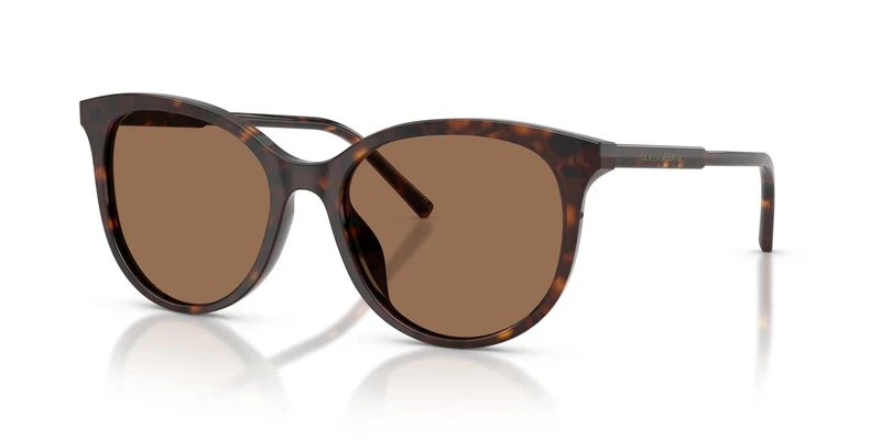 Dolce & Gabbana DG4540 502/13 55