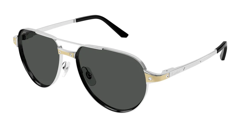 Cartier CT0425S 001 59