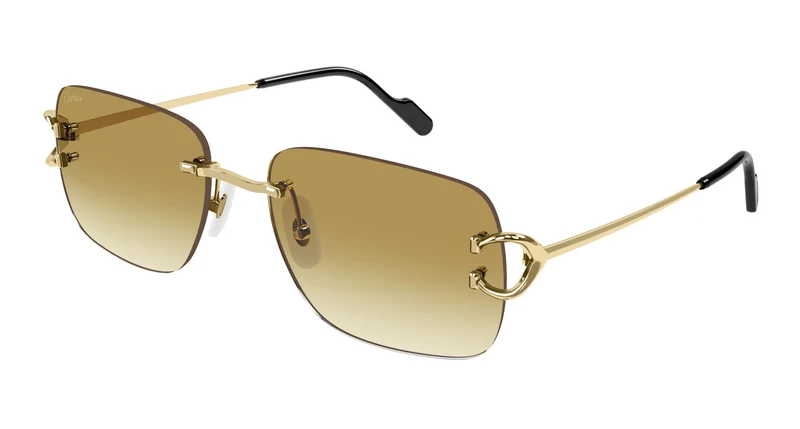 Cartier CT0330S 003 57