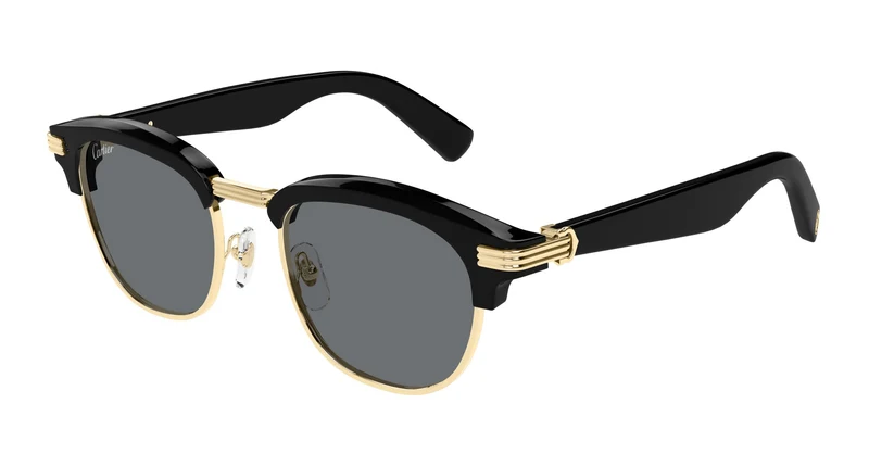 Cartier CT0496S 003 52