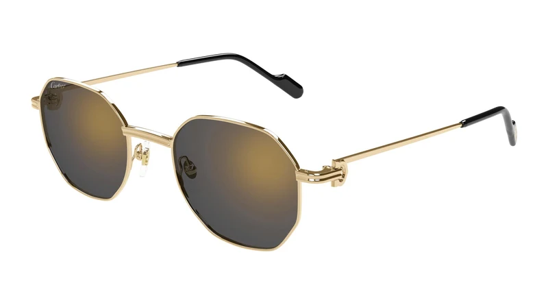 Cartier CT0500S 001 50