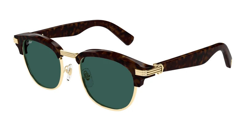 Cartier CT0496S 002 52