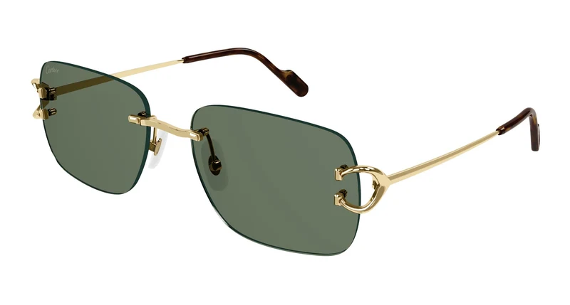 Cartier CT0330S 005 59