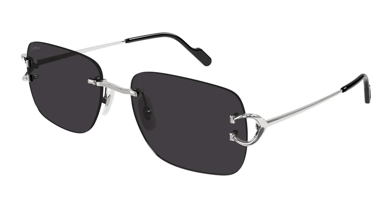Cartier CT0330S 001 57
