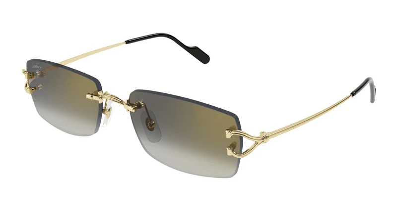 Cartier CT0550S 001 56