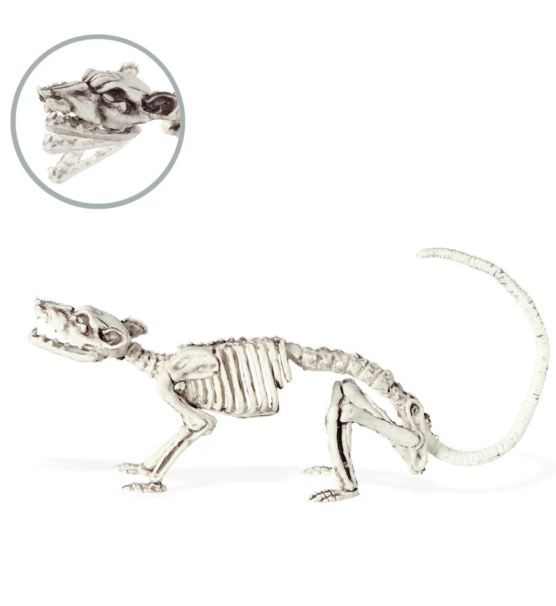 Ratten Skelet deco