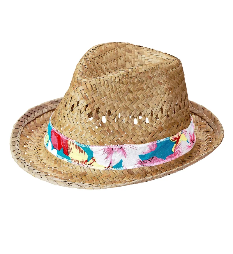 Hoed Fedora Beach Boys