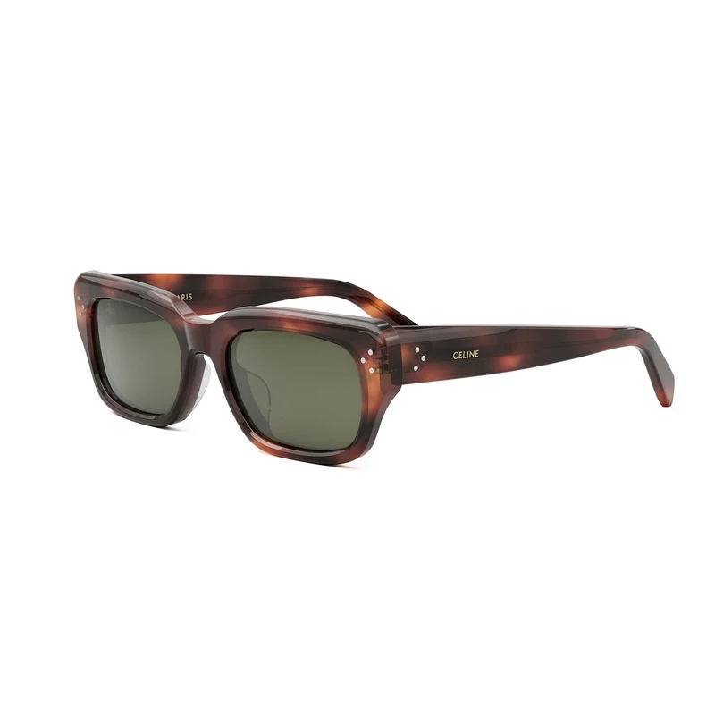 Celine CELINE 3 DOTS CL40267U 54N 54