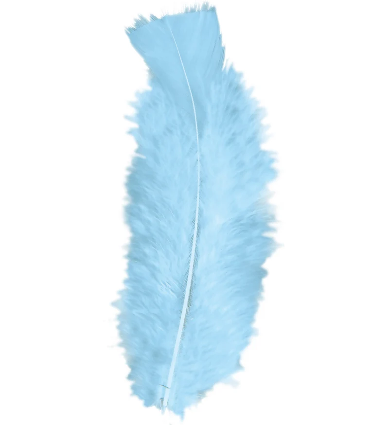 Zakje Met 50 Veertjes Licht Blauw