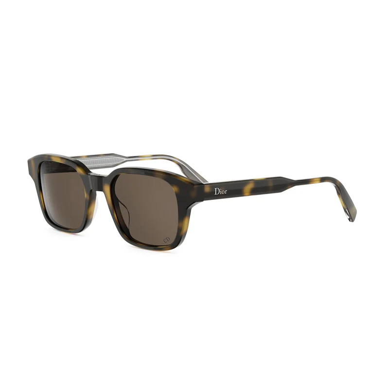 DIOR DIORIBBON S1I 20F0 DM40190I 52N 48