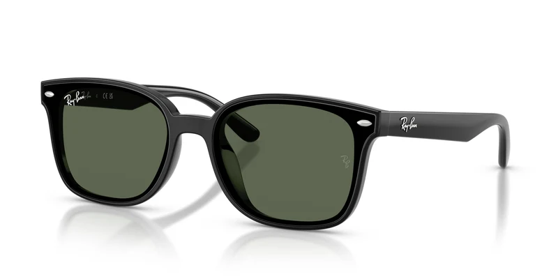 Ray-Ban RB4461D 601/71 64
