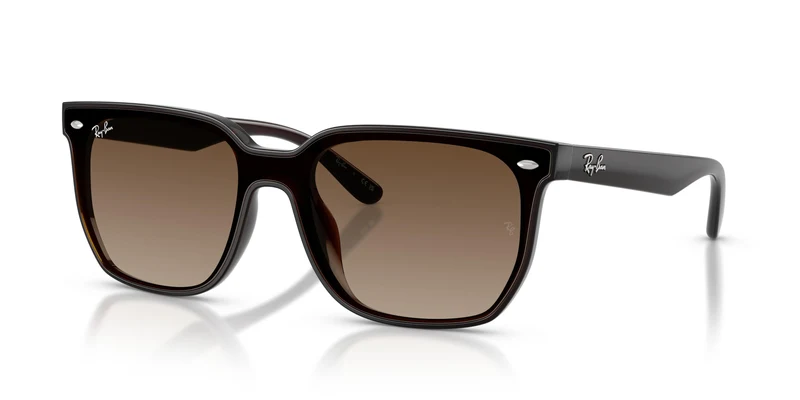 Ray-Ban RB4466D 714/13