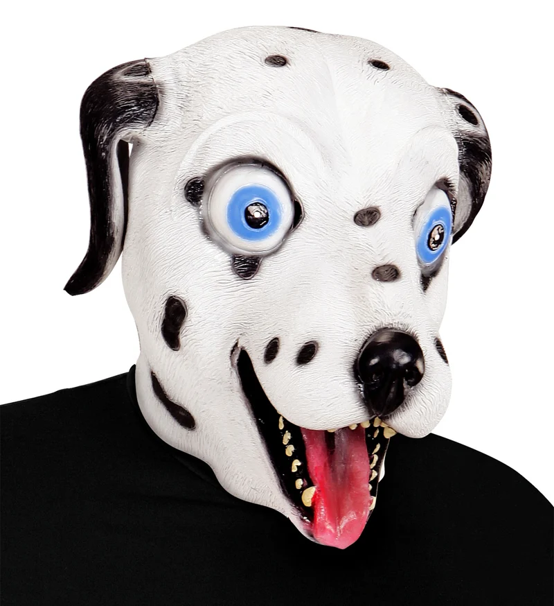 Dalmatiër hoofd voor een party
