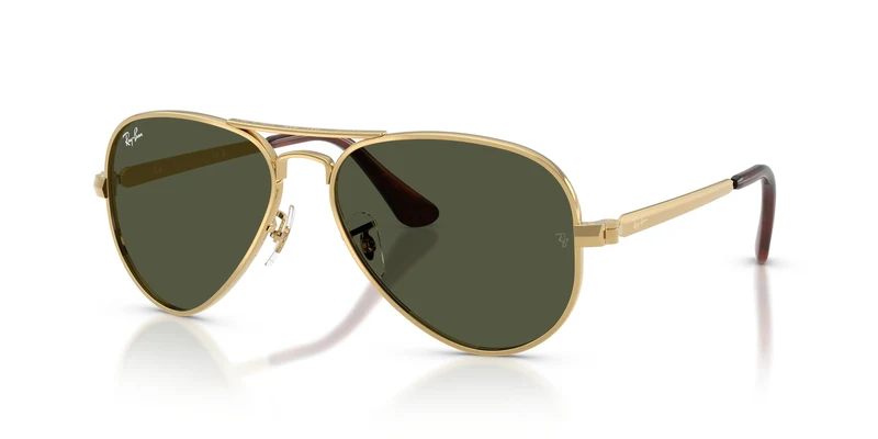 Ray-Ban RB3925 AVIATOR MAX 001/31 58