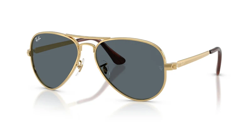 Ray-Ban RB3925 AVIATOR MAX 001/R5 58
