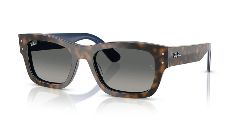 Ray-Ban RB7683S JOSEPH 140171 55