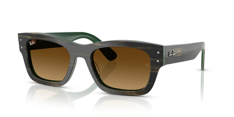 Ray-Ban RB7683S JOSEPH 140285 55