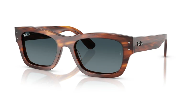 Ray-Ban RB7683S JOSEPH 954/S3 55