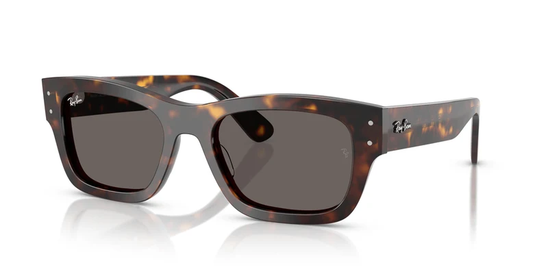 Ray-Ban RB7683S JOSEPH 902/B1 55