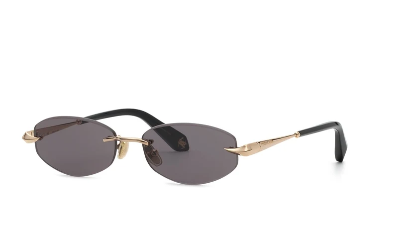 Roberto Cavalli SRC207M 0300 55