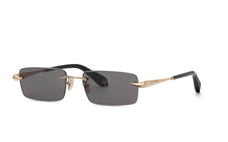 Roberto Cavalli SRC206M 0300 55