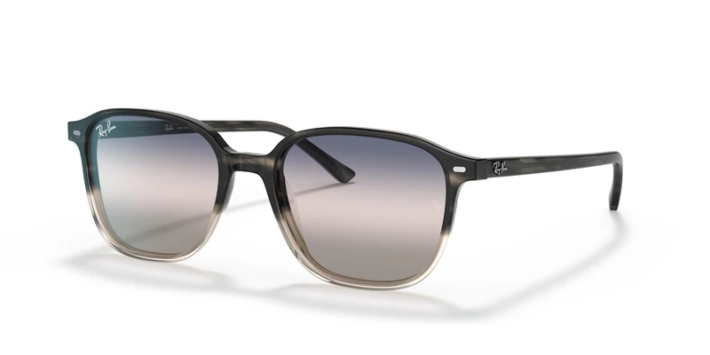 Ray-Ban RB2193 LEONARD 1326GE 53