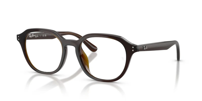 Ray-Ban RX7259D 8502 52