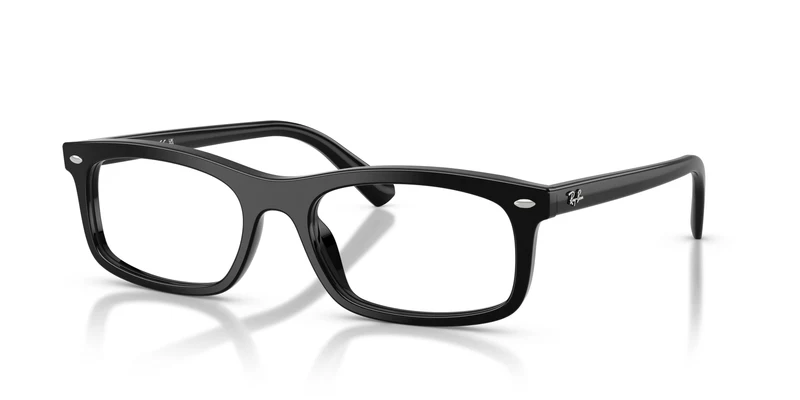 Ray-Ban RX5450 2000 56