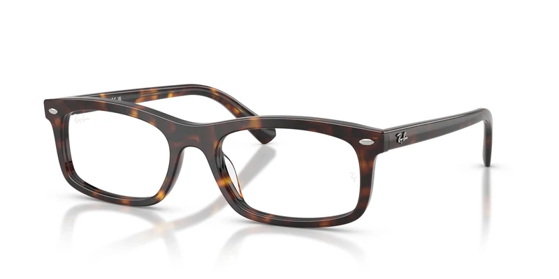 Ray-Ban RX5450 2012 54